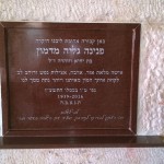 מצבות בכוכים 81